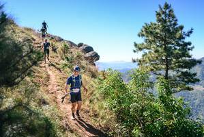 BIB: 
                            <button type="button" onclick="openModal(26601114)" class="btn btn-primary btn-sm float-right btn-popup" data-toggle="modal" data-target=".modal-high-quality">
                        <i class="fas fa-shopping-cart"></i> Add to Cart
                    </button>
                                            <button type="button" onclick="isThisMe(26601114, true)" class="btn btn-success btn-sm float-right btn-popup btn-isme hidden" data-toggle="tooltip" data-placement="bottom" title="นี่คือรูปของคุณใช่ไหม คลิกที่นี่เพื่อเอาเข้าอัลบั้ม">
                        <i class="fas fa-plus"></i> Add to album
                    </button>
                    <button type="button" onclick="isThisMe(26601114, false)" class="btn btn-warning btn-sm float-right btn-popup btn-isnotme hidden">
                        <i class="fas fa-ban"></i> Remove from album
                    </button>